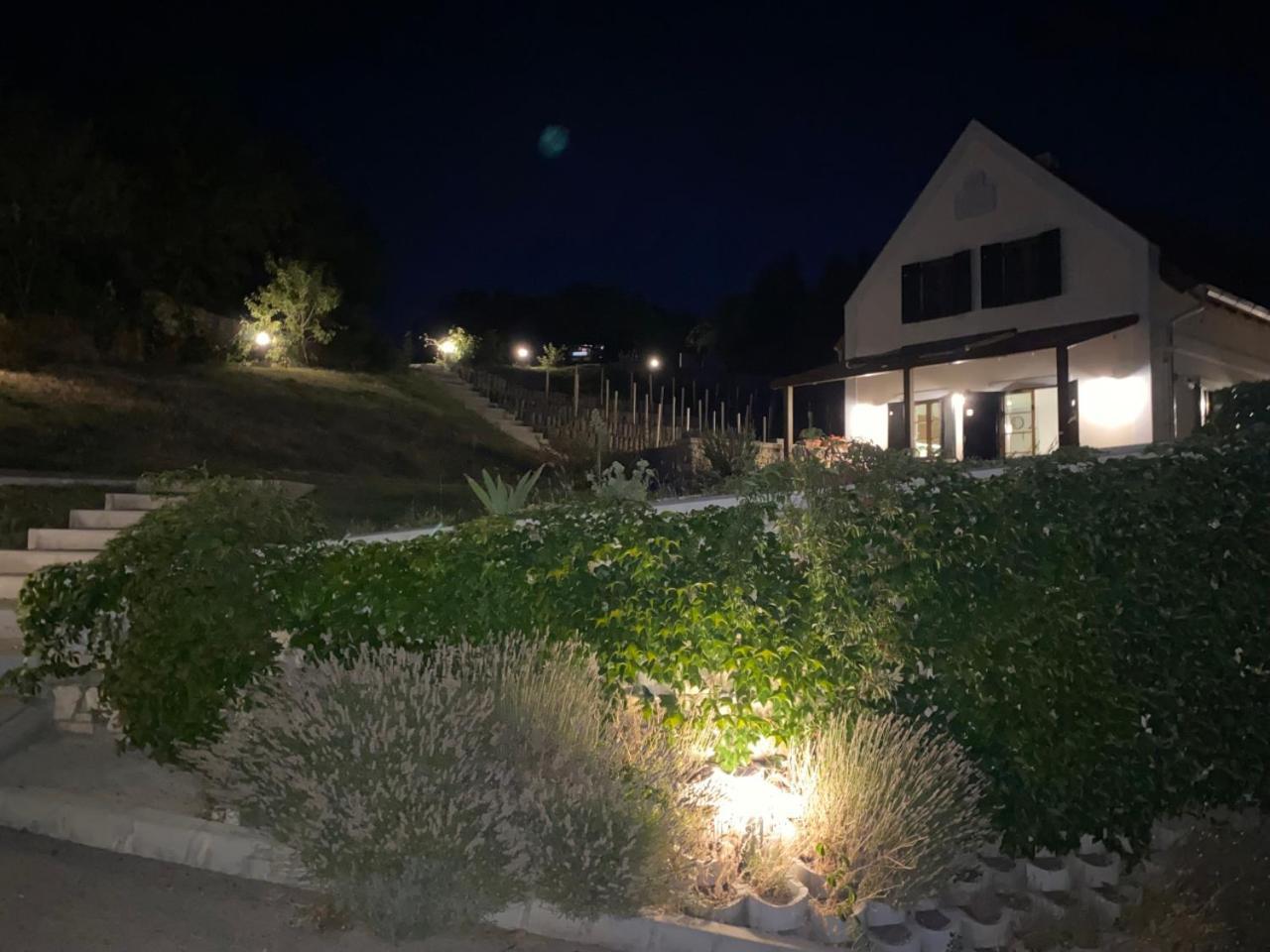 Borbora Borhaz Villa Vászoly Екстериор снимка